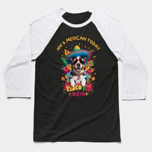 Australian Cattle dog Cinco de Mayo Baseball T-Shirt